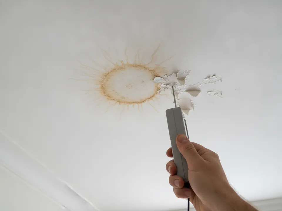 Plafond taché par un dégât des eaux, humidimètre en main